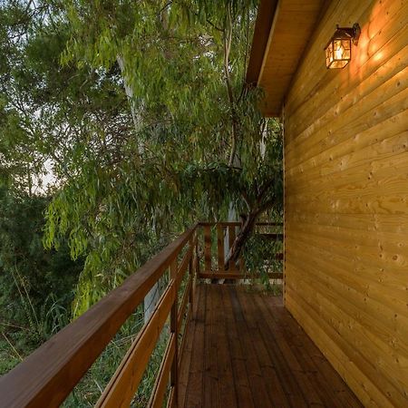 River Treehouse Laganas Exterior photo