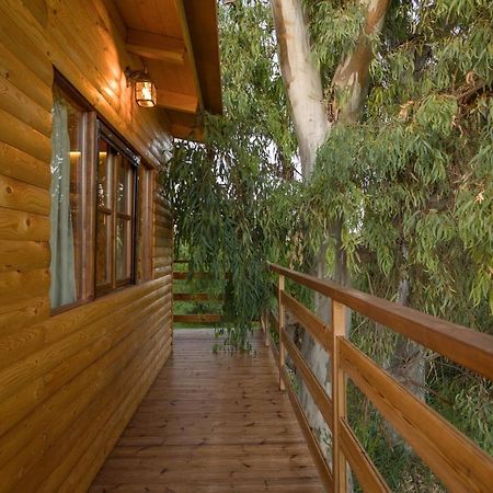River Treehouse Laganas Exterior photo