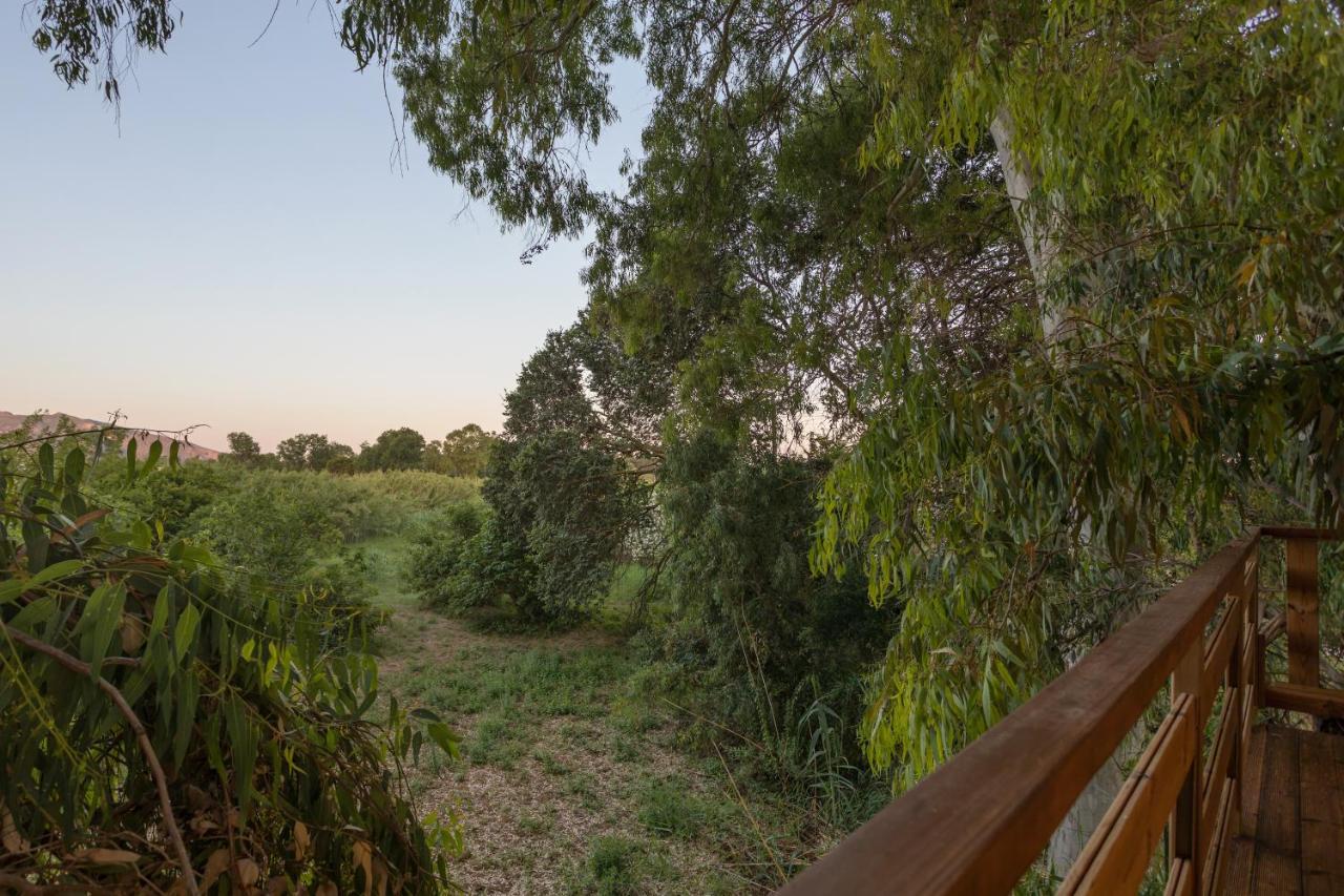 River Treehouse Laganas Exterior photo